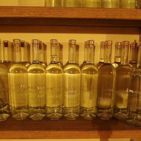 A Slunicko Apartment