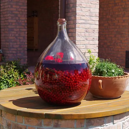 A Slunicko Apartment